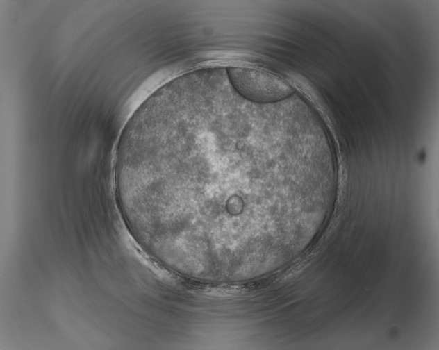 X0000115491386200912041006