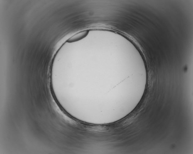X0000115491387200912041006