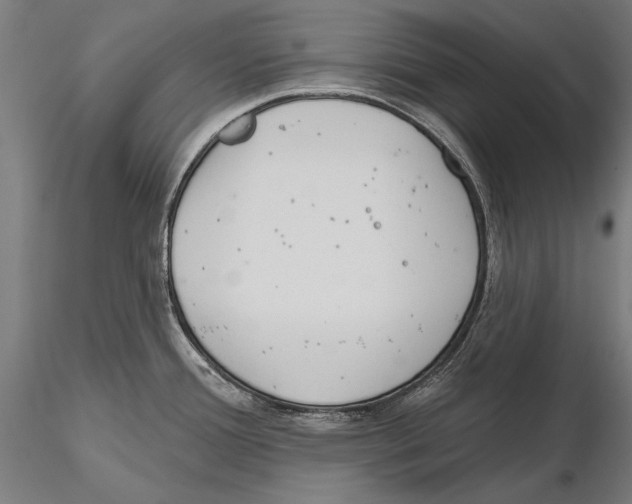 X0000115491388200912041006