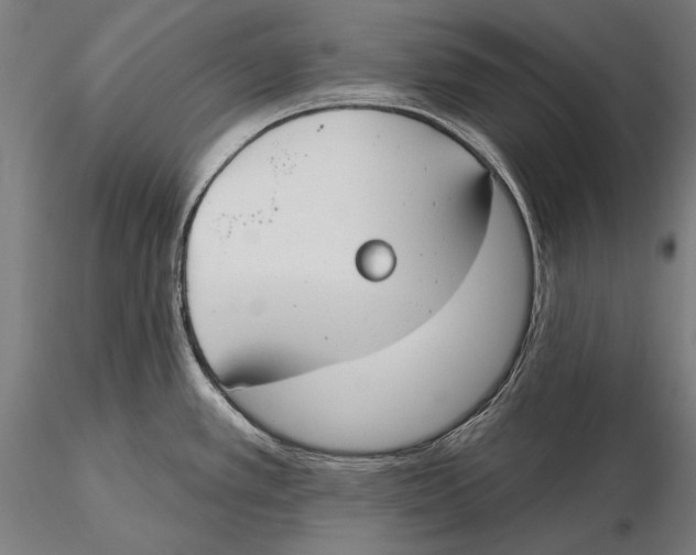 X0000115491389200912041006