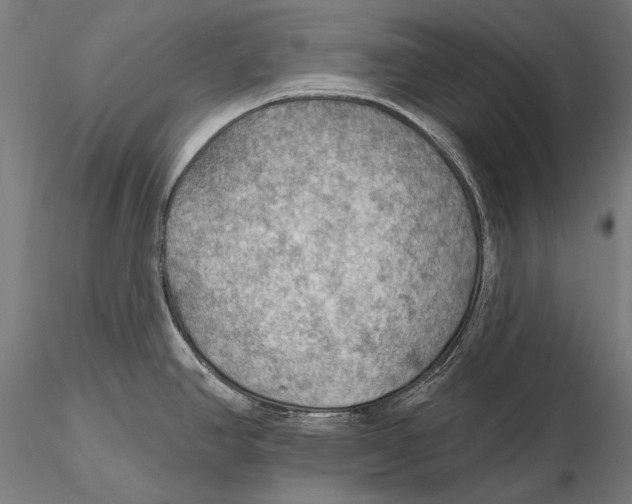 X0000115491390200912041006