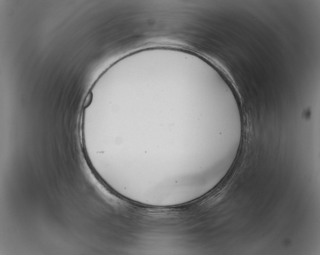 X0000115491391200912041006