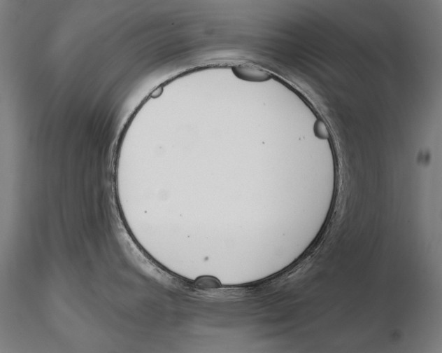 X0000115491392200912041006