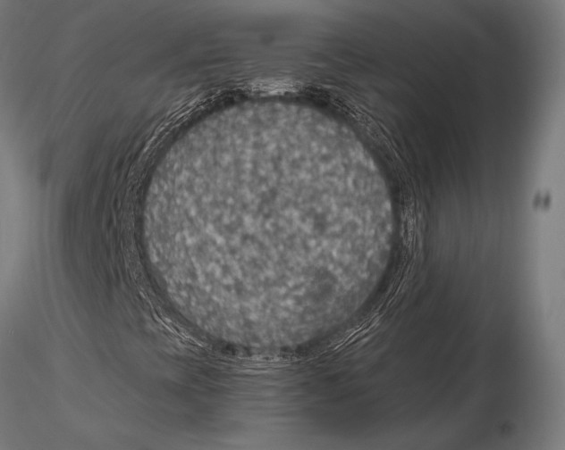 X0000115491393200912041005