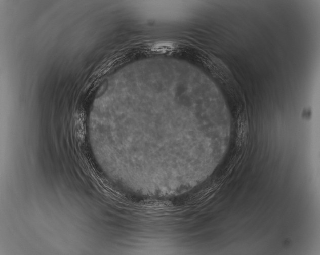 X0000115491394200912041005