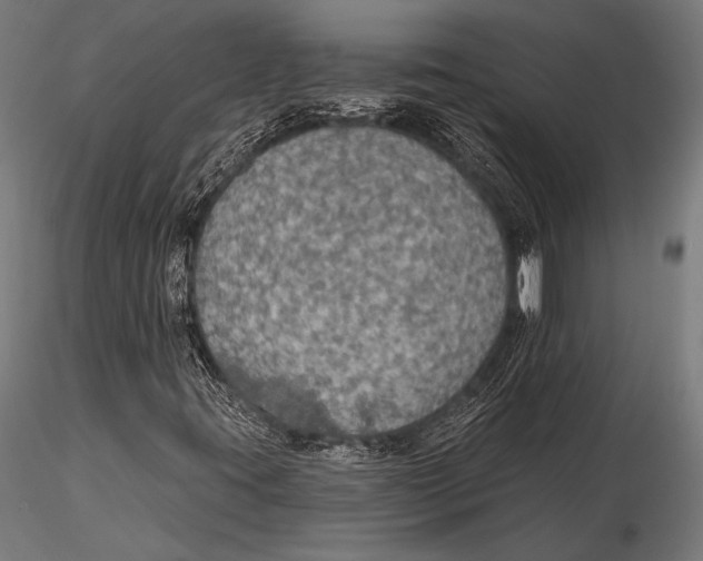 X0000115491395200912041005