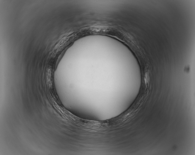 X0000115491396200912041005