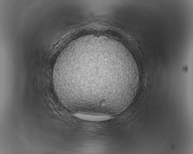 X0000115491397200912041005