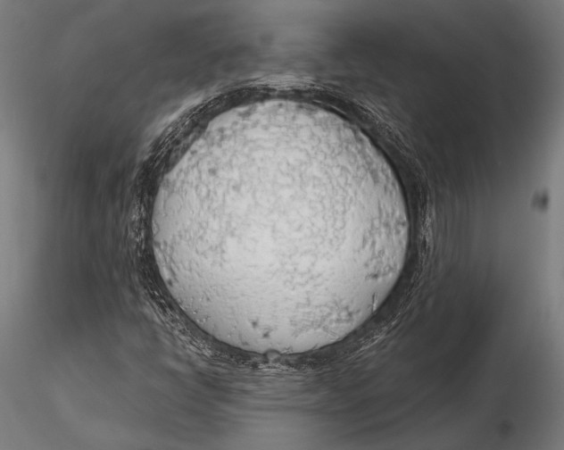 X0000115491398200912041005