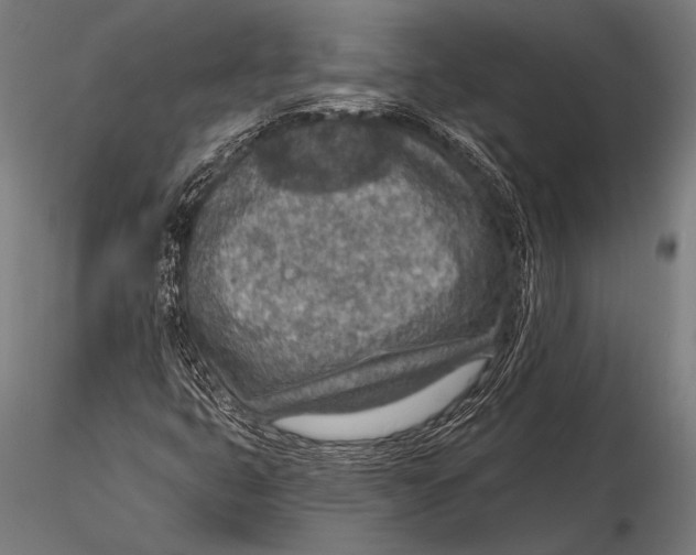 X0000115491399200912041005