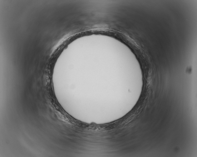 X0000115491400200912041005