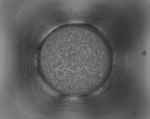 X0000115491401200912041005