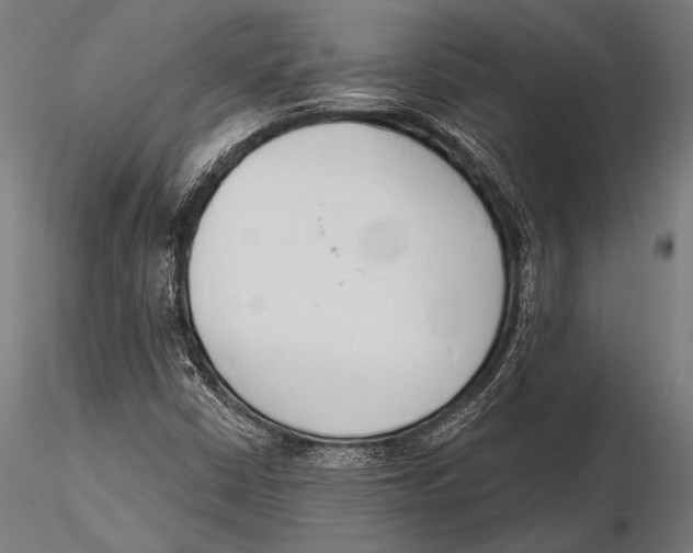 X0000115491402200912041005