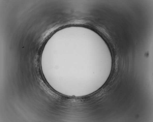 X0000115491404200912041005