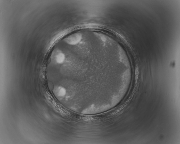 X0000115491405200912041005
