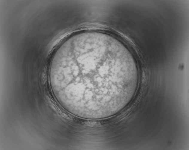 X0000115491407200912041005