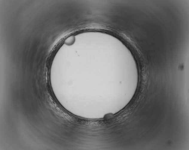 X0000115491408200912041005