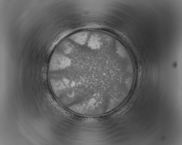 X0000115491409200912041005