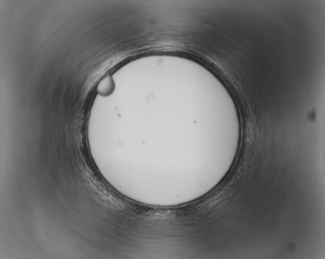 X0000115491410200912041005