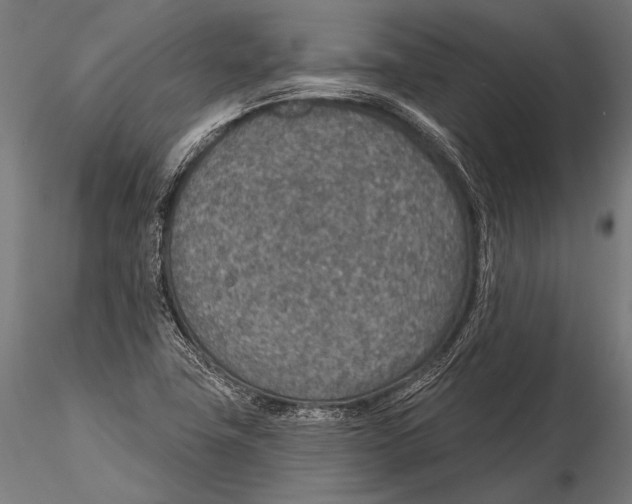 X0000115491411200912041005