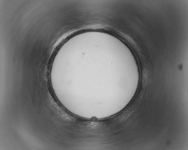X0000115491412200912041005