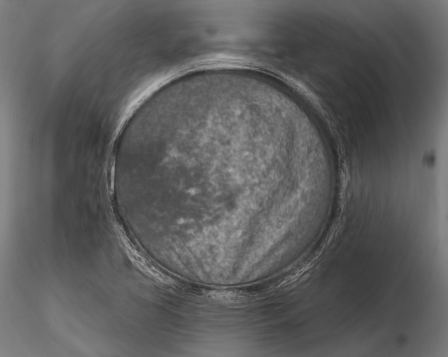 X0000115491413200912041005