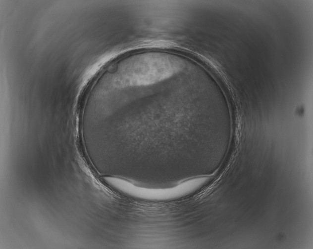 X0000115491414200912041005