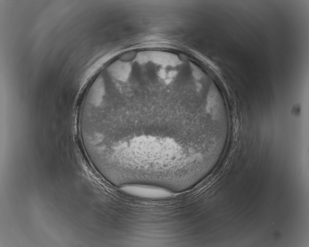 X0000115491415200912041005