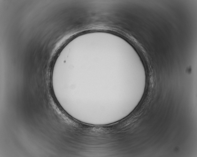X0000115491416200912041005