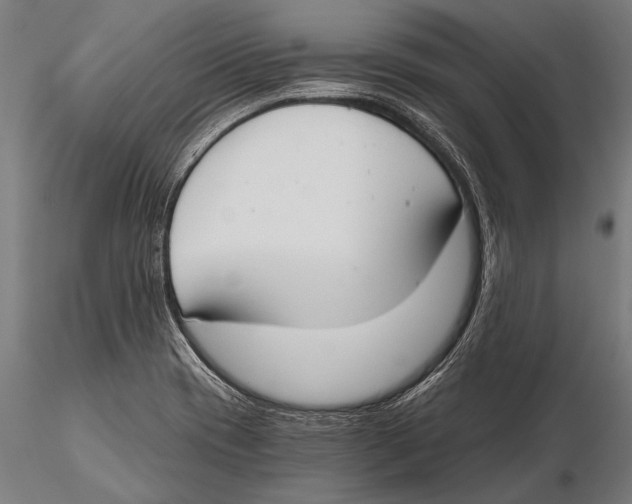 X0000115491417200912041005