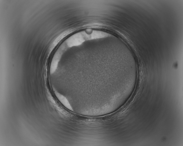 X0000115491418200912041005
