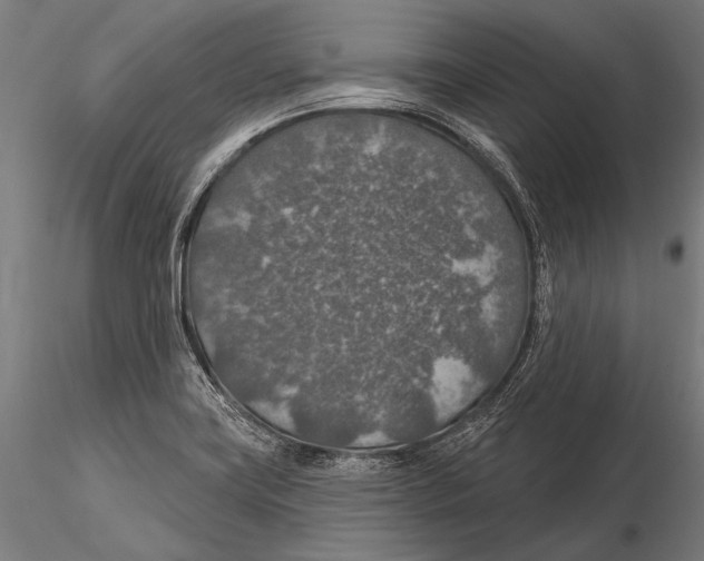 X0000115491419200912041005