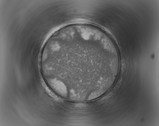 X0000115491421200912041005