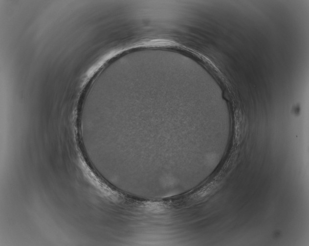X0000115491422200912041005