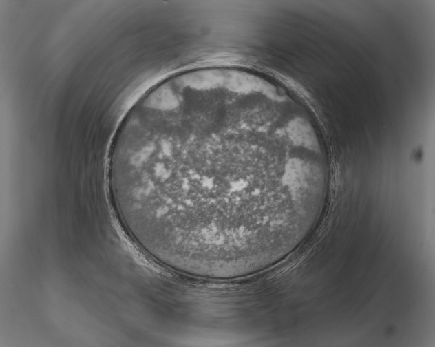 X0000115491423200912041005