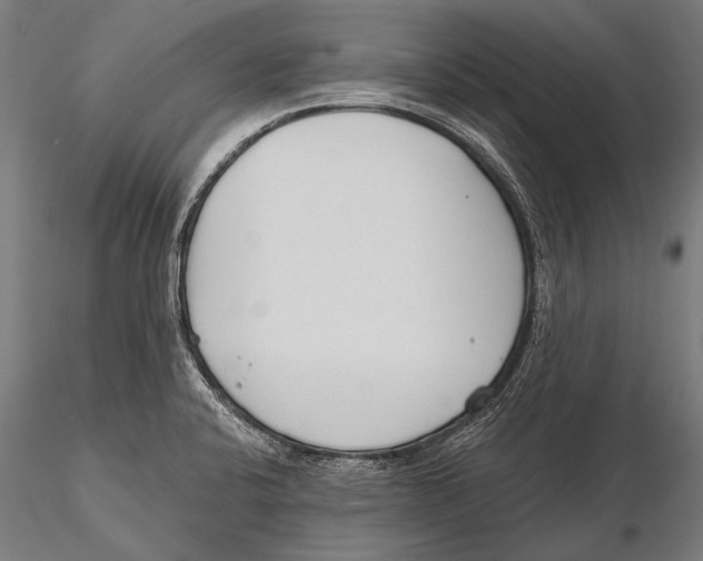 X0000115491424200912041005