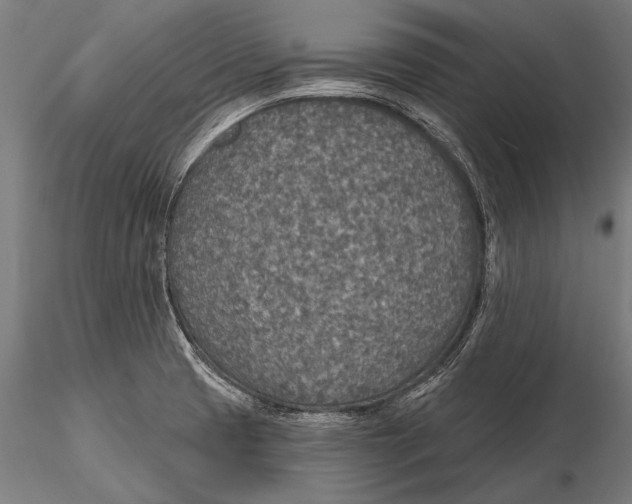 X0000115491425200912041005