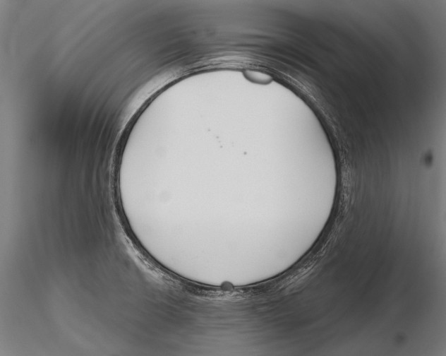 X0000115491426200912041005