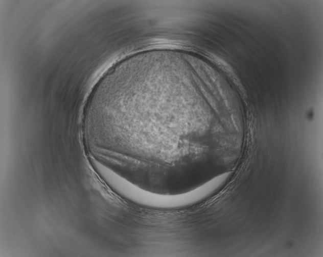 X0000115491427200912041005