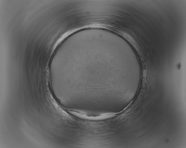 X0000115491428200912041005