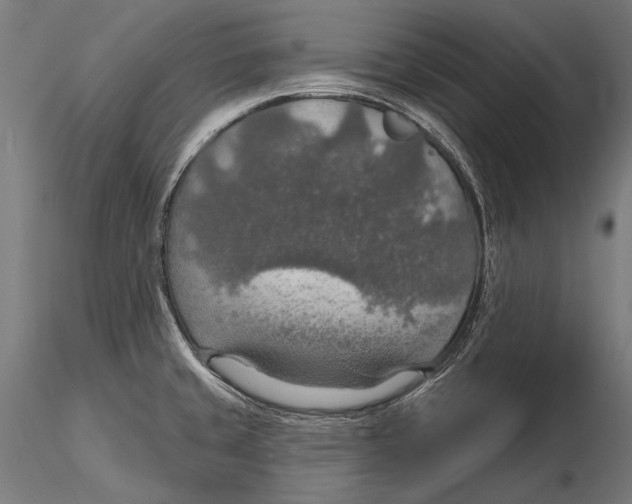 X0000115491429200912041005