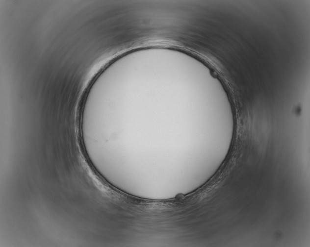 X0000115491430200912041005