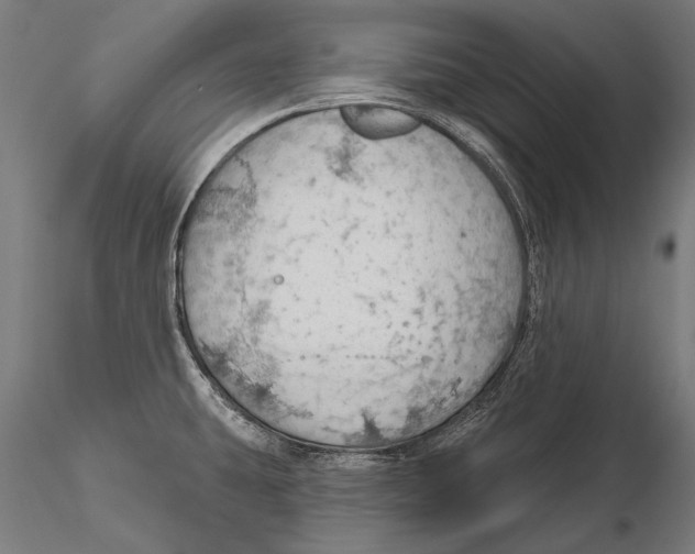 X0000115491431200912041006