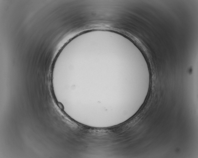 X0000115491432200912041006