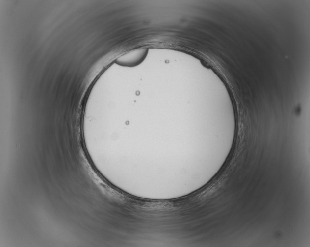 X0000115491434200912041006