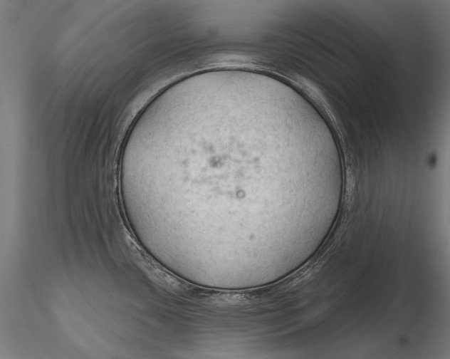 X0000115491435200912041006