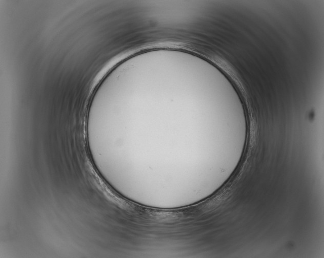 X0000115491436200912041006