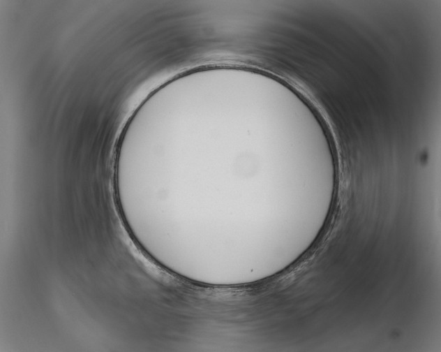 X0000115491437200912041006