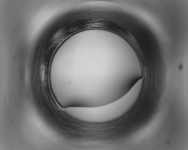 X0000115491438200912041006