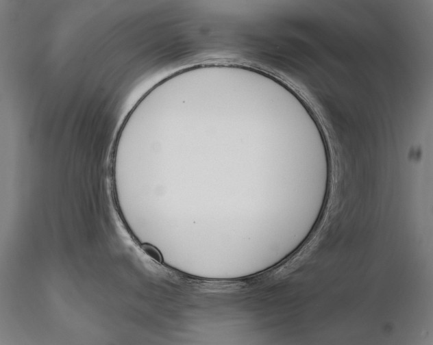 X0000115491440200912041006